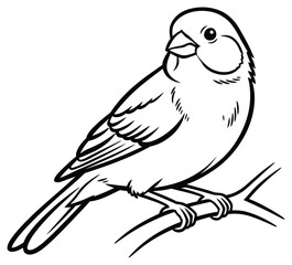 Fototapeta premium A cute little songbird perched on a branch, ready for a fun coloring activity