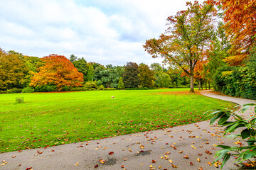 Autumn Landscape Park Plain With