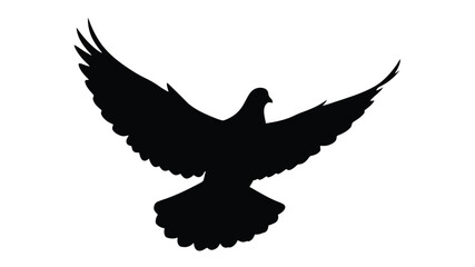 a striking black bird silhouette with expansive wings against a white background © Sogir