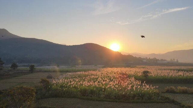 Araku Valley Andhra Pradesh