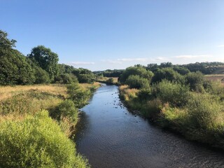Fototapeta premium River Leader, Scottish Borders