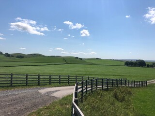 Fototapeta premium Field in North Yorkshire