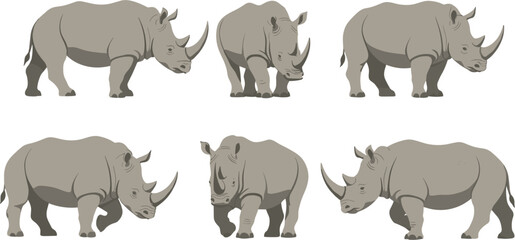 Obraz premium African Rhinoceros Vector Illustration Set with Various Standing and Walking Poses for Wildlife Conservation Branding, Safari Nature Graphics, Zoo Education, and Animal Infographics