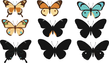 Colorful Butterfly Species Icon Set and Silhouettes for Nature Conservation Branding, Educational Biology Graphics, Spring Garden Decorations, and Delicate Wildlife Vector Illustrations © MD