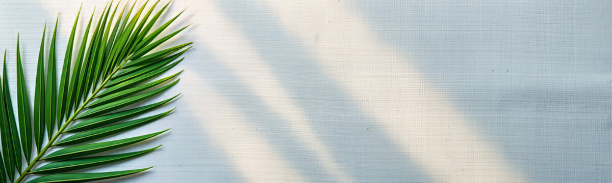 Fresh green palm frond on white textured linen background. Minimalist Palm Sunday banner with soft natural light and shadows. Tropical leaf flat lay with copy space for text