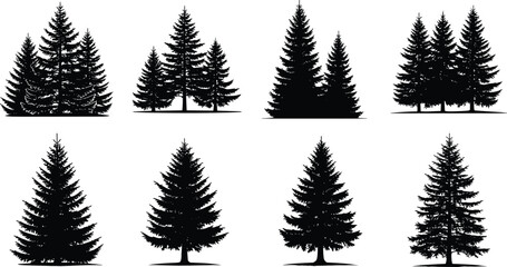 Collection of Eight Detailed Black Silhouettes Featuring Various Pine and Spruce Evergreen Trees for Nature Landscape Forest Conservation and Winter Holiday Graphic Design Projects © MstKhodeza