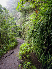 Calderao Verde route, Madeira, Portugal