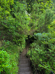 Calderao Verde route, Madeira, Portugal