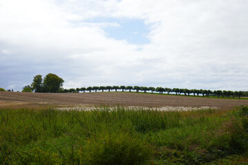 Festoon avenue at Bothmer Castle in Kl&uuml;tz