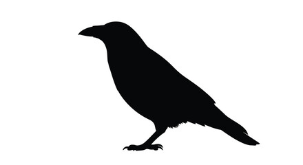 Obraz premium A detailed black silhouette of a crow perched on a branch silhouette