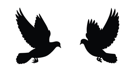 Obraz premium Two birds in flight wings spread a striking black silhouette