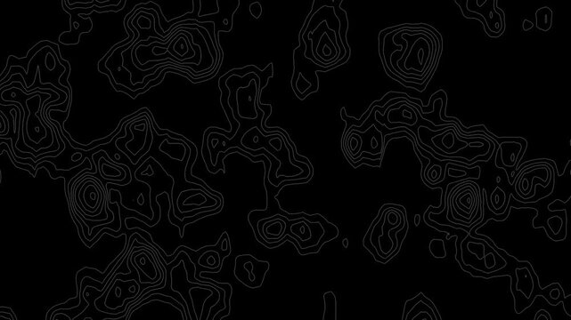 Abstract Black and White Topographic Map Line Motion Background