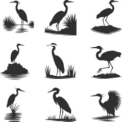 Fototapeta premium Set of Nine Minimalist Black Heron and Crane Bird Silhouettes Standing in Marsh Water with Wetland Reeds for Nature Design,
