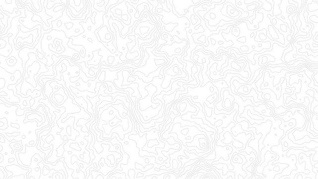Minimalist White Topographic Map Background with Grey Contour Lines