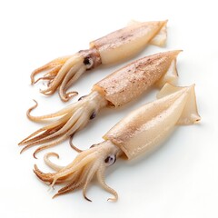 Freshly prepared squid for cooking or culinary presentation white background