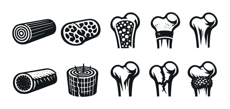 Cross-sectional bone illustrations: patterns, structures, medical anatomy, education, monochrome art