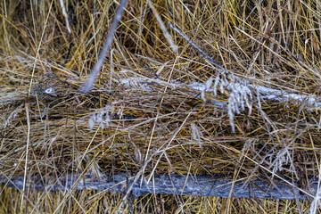 Close-up of Golden Hay and Dry Straw Partially Covered with Fresh Winter Snow, Agricultural Background Showing Forage Storage in Cold Weather