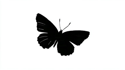 Obraz premium Butterfly Silhouette Flying Against White Background