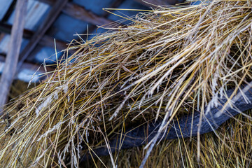 Close-up of Golden Hay and Dry Straw Partially Covered with Fresh Winter Snow, Agricultural Background Showing Forage Storage in Cold Weather