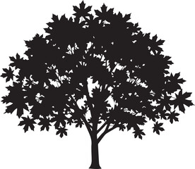 Obraz premium Black maple tree vector silhouette illustration on a transparent background for design projects