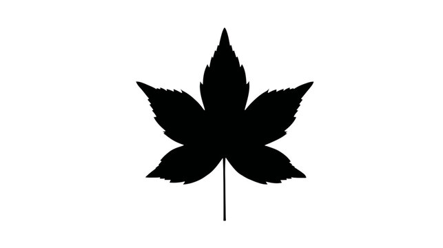 A simple, symmetrical silhouette of a leaf with five lobes and a stem, set against a white background