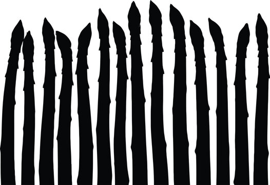 A collection of sharp black icicle or pencil shapes on a white background