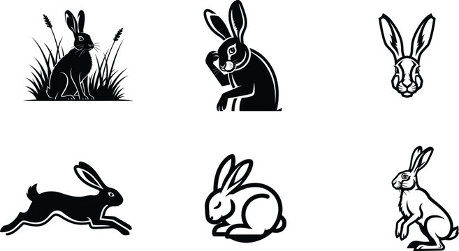 Collection of rabbit illustrations in various poses and styles