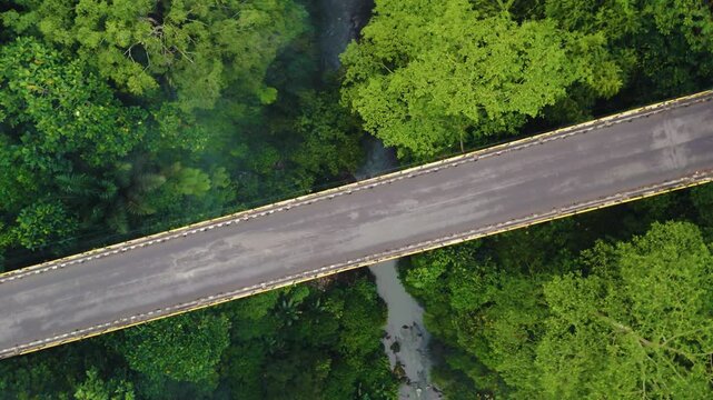 Aerial drone flight over bridge over the abyss and jungle, Ubud, Bali, Indonesia, 4k
