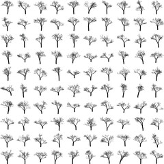 Tree Silhouette Collection Vector Illustration for Logo Design, Eco Concepts, Print Media, Isolated on White Background.