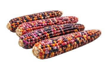 Four colorful ears of rainbow corn on the cob on transparent background