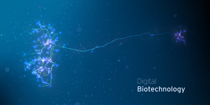 Neuron system cyber technology. AI neural net structure. Research of digital nerve network. Digital artificial organism. Human mind cells data analysis. Mapping neurons for computer link