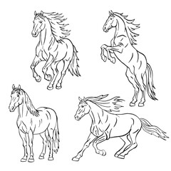 Set of horses with different positions. Hand drawn illustration.