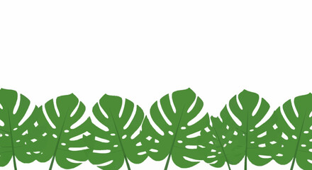 Fototapeta premium Green Monstera Leaves Border Pattern.