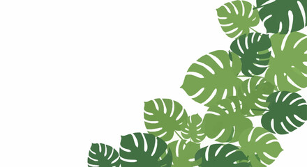 Green Monstera Leaves Pattern Background. © Dalijo