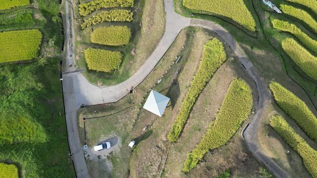 Rizi&egrave;res en terrasses d&rsquo;Obasute au Japon, vastes cultures de riz vertes en &eacute;tages entre montagnes sous un beau temps, paysage agricole traditionnel et rural