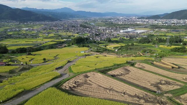 Rizi&egrave;res en terrasses d&rsquo;Obasute au Japon, vastes cultures de riz vertes en &eacute;tages entre montagnes sous un beau temps, paysage agricole traditionnel et rural
