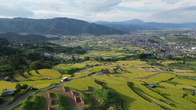 Rizi&egrave;res en terrasses d&rsquo;Obasute au Japon, vastes cultures de riz vertes en &eacute;tages entre montagnes sous un beau temps, paysage agricole traditionnel et rural