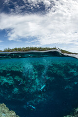 Obraz premium Scuba divers explore a coral reef in clear water under a bright sky in a tropical location during the day