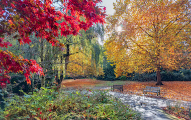 Sunny autumn park landscape with benches and fall foliage