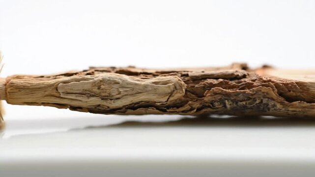 Close-up of a miswak toothbrush, a natural and traditional oral hygiene tool, highlighting its fibrous texture and eco-friendly design.