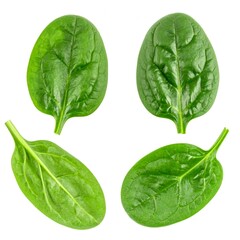 Fresh Spinach Leaves Isolated on White Background, Organic Leafy Greens for Smoothies, Salads, and Vegan Nutrition Concept