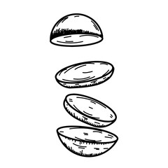 vector illustration of a potato