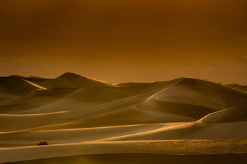 Golden sand dunes at sunset with soft light.