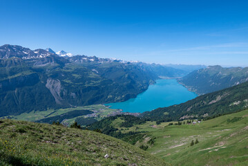 Fototapeta premium Aerial view of Lake Brienz (Brienzersee) from a summer hiking trail in Switzerland, showcasing turquoise water, lush greenery, and surrounding alpine mountains.