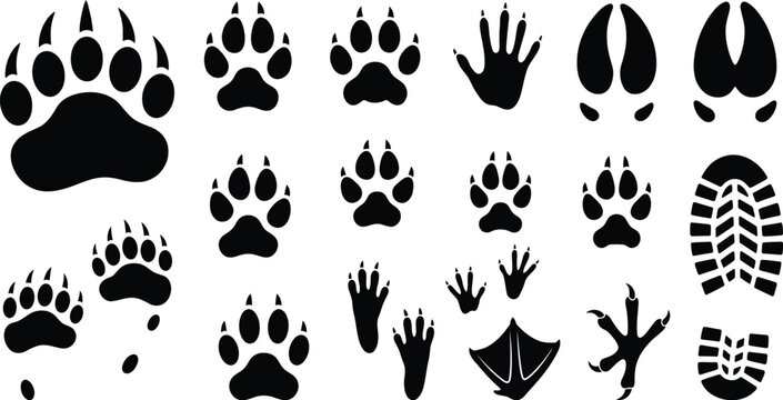 Animal track silhouettes including bear paw prints, bird footprints, and hoof marks in black on white background