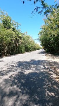 UGC POV Walking Tulum Hotel Zone Road, Authentic First Person Tropical Jungle Beach Path Mexico, Vertical Lifestyle Travel Video for Social Media Ads