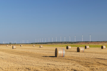 Hay bales in harvested field with wind turbines