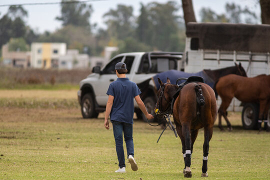 Talented polo players in full-gallop matches&mdash;both young and old&mdash;demonstrating their skill atop magnificent horses.