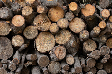 Background of stacked logs, timber industry