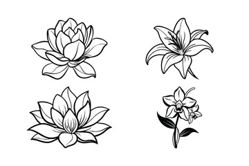 Elegant Lily Floral Collection Black White Botanical Artwork